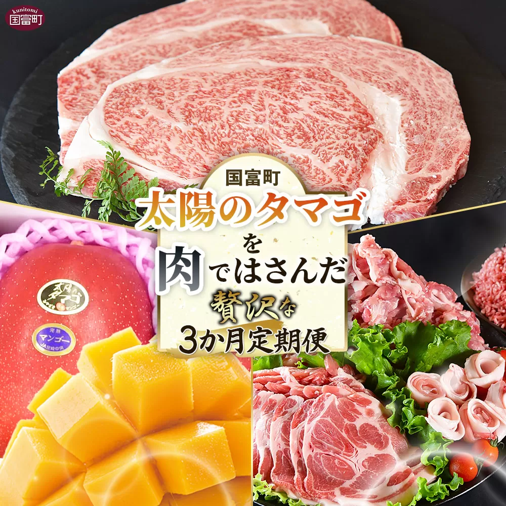 ＜太陽のタマゴを肉ではさんだ贅沢な3か月定期便＞2025年4月から順次出荷【 定期便 宮崎牛 黒毛和牛 ロースステーキ ロース 太陽のタマゴ マンゴー 完熟マンゴー 豚肉 セット 豚ロース 肩ローススライス モモスライス 切り落とし ミンチ  精肉 】