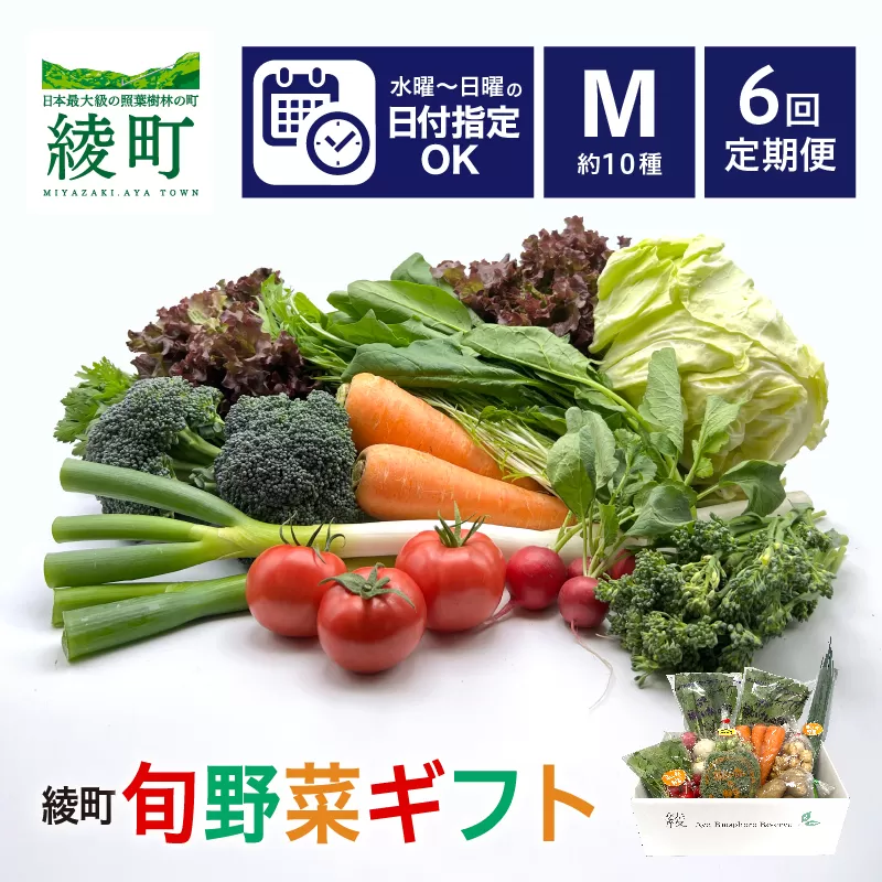 綾町旬野菜ギフト（Mサイズ）【全６回定期便】