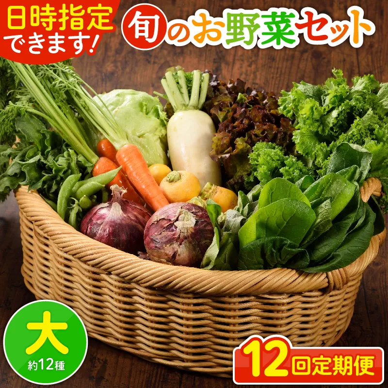 日時指定可能！旬のお野菜セット（サイズ大）【全12回定期便】