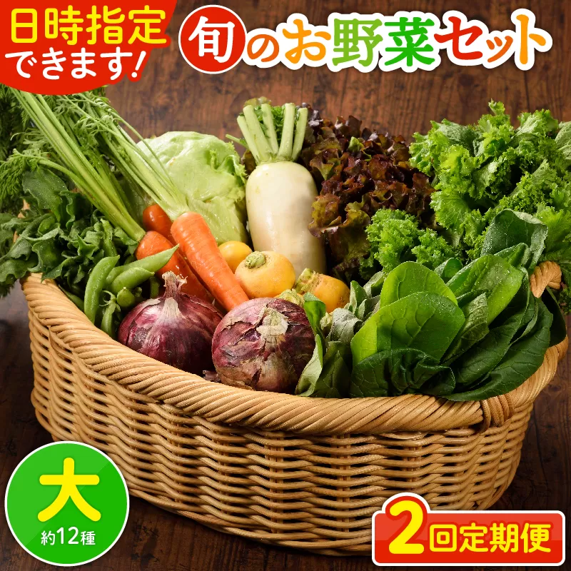 日時指定可能！旬のお野菜セット（サイズ大）【全２回定期便】