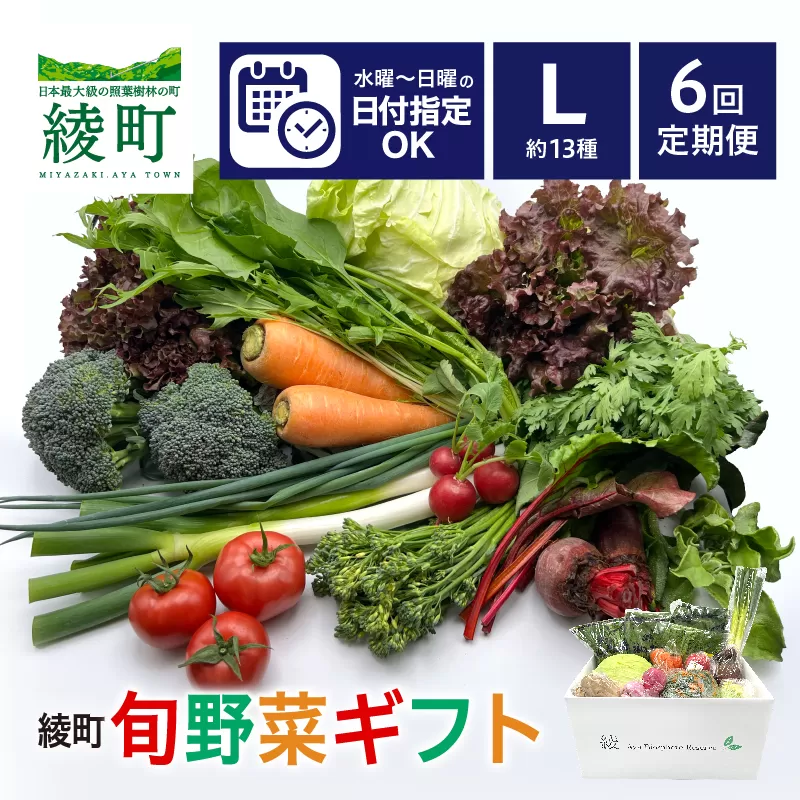 綾町旬野菜ギフト（Lサイズ）【全６回定期便】