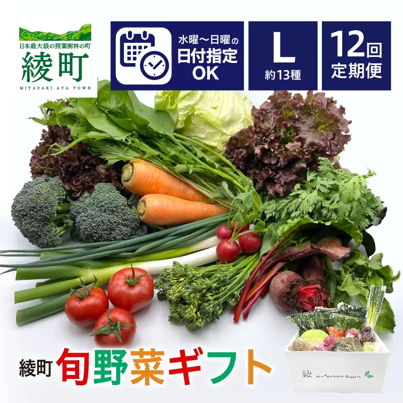 綾町旬野菜ギフト（Lサイズ）【全12回定期便】