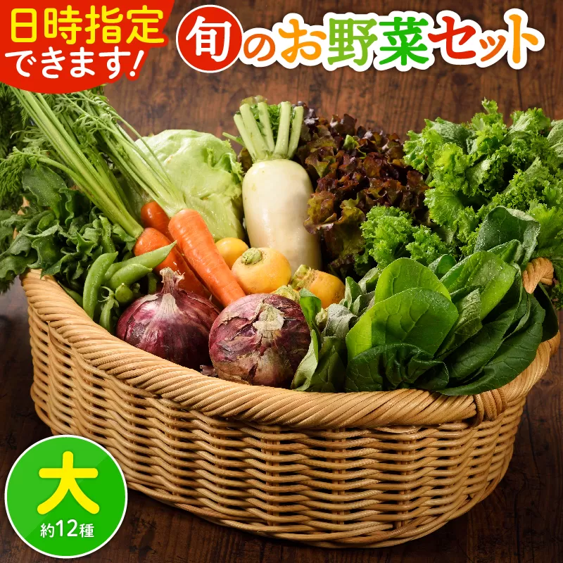 日時指定可能！旬のお野菜セット（サイズ大）