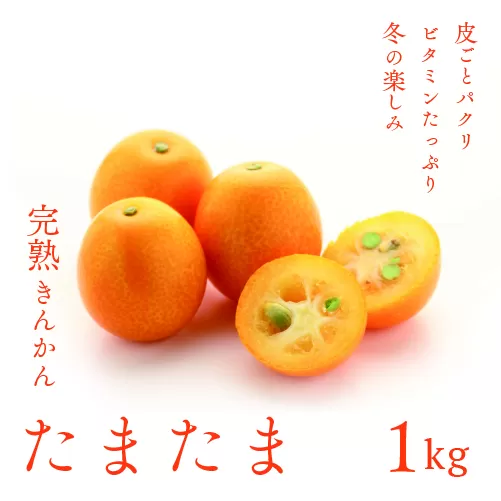 完熟きんかん「たまたま」１kg