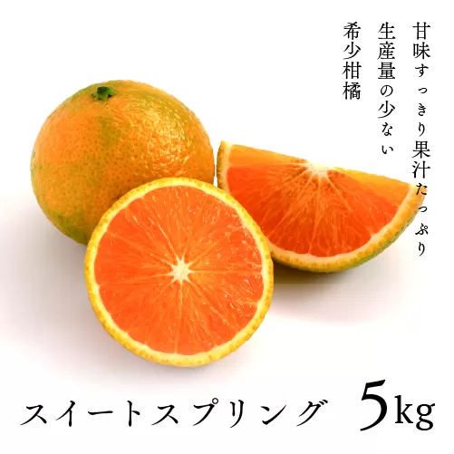 希少柑橘「スイートスプリング」5kg [化粧箱]