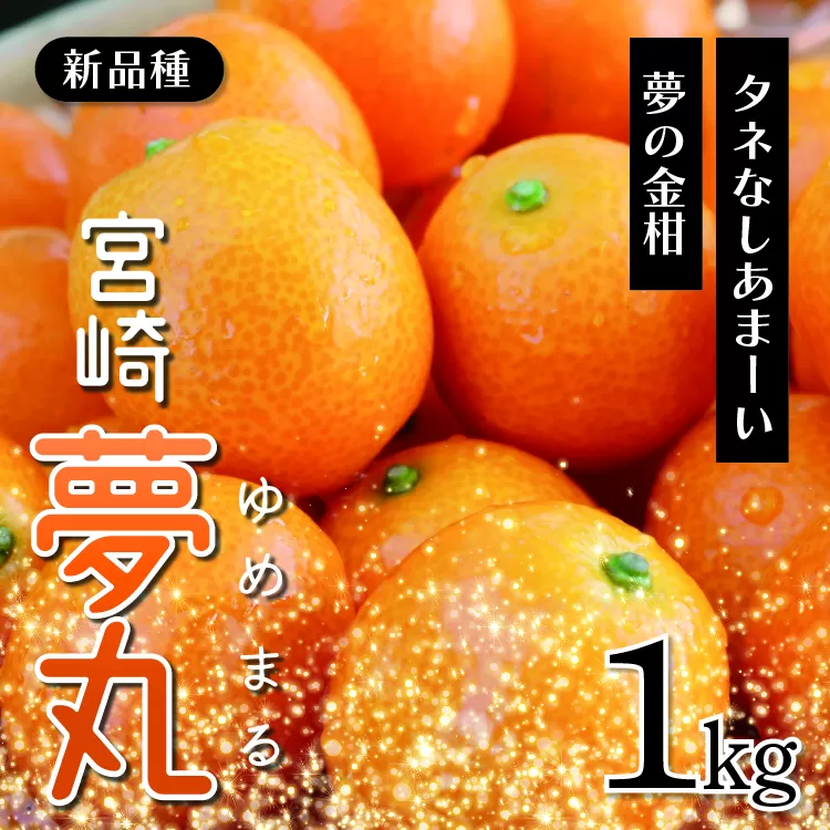 きんかん「宮崎夢丸」1kg