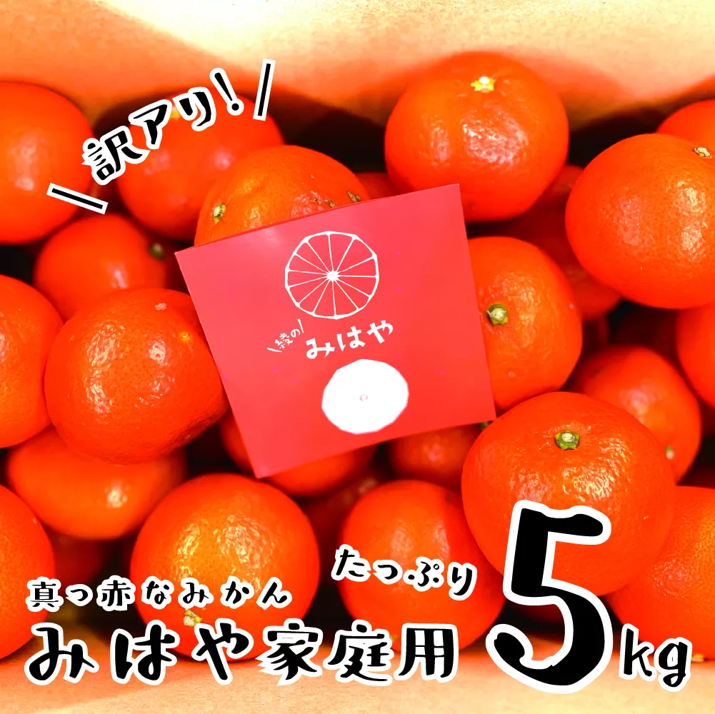 みはや 5kg【訳あり】