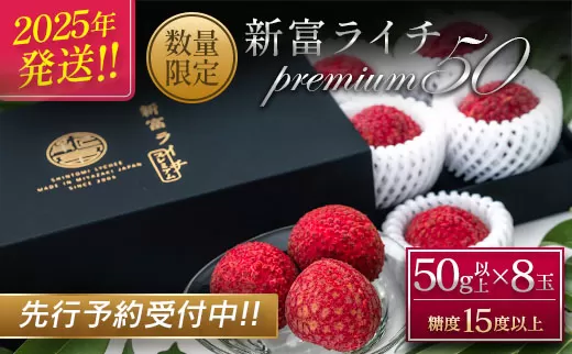 ［2025年発送］先行予約 希少！国産＜新富ライチpremium50＞50g以上×8玉 国産 ブランド フルーツ 果物 贈答品【C52-25】