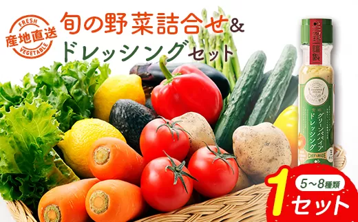 産地直送！旬の野菜（5〜8種類）＆ドレッシング セット お試し おまかせ 詰合せ 宮崎県新富町産【B643】