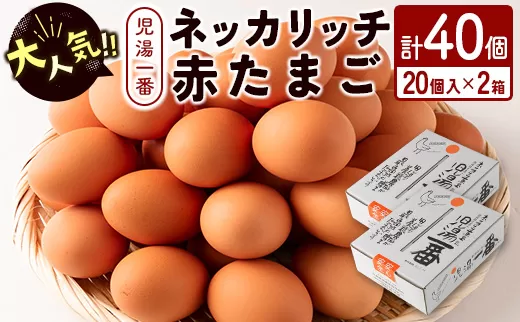 ＜児湯養鶏自慢の卵 ＞ネッカリッチ赤たまご「児湯一番」計40個（20個入×2箱）【B19】