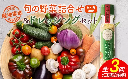 産地直送！旬の野菜（5〜8種類）＆ドレッシング セット 3か月定期便 おまかせ 詰合せ 宮崎県新富町産【E213】