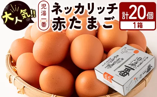 ＜児湯養鶏自慢の卵 ＞ネッカリッチ赤たまご「児湯一番」20個 1箱【A14】