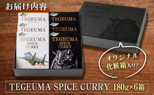 グルテンフリー 無水チキンカレー TEGEUMA SPICE CURRY（テゲうまスパイスカレー）180g×6箱【B595】