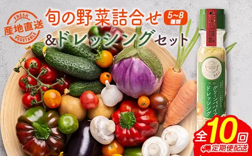 産地直送！旬の野菜（5〜8種類）＆ドレッシング セット 10か月 定期便 おまかせ 詰合せ 宮崎県新富町産【F137】