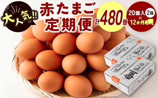 ＜児湯養鶏自慢の卵＞ネッカリッチ赤たまご「児湯一番」 計480個 （20個入×2箱）×12か月定期便【E19】