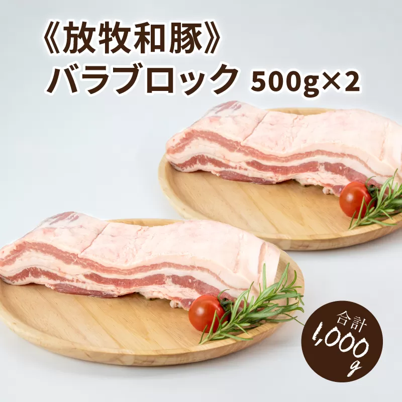 ≪放牧和豚≫　バラブロック 500g×2 【合計1kg】 K26_0030_1