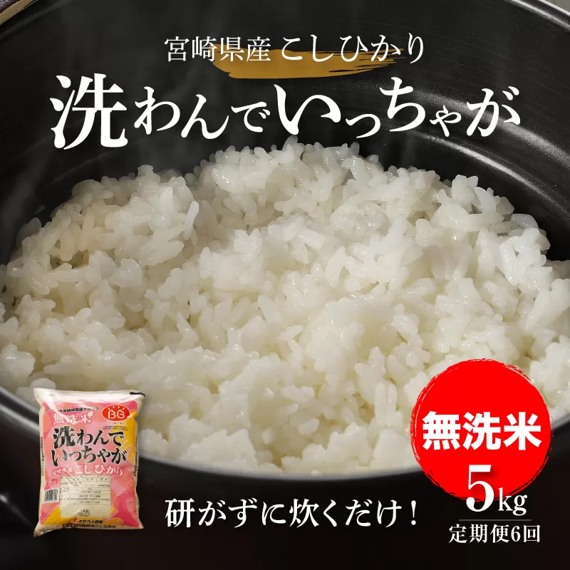 無洗米コシヒカリ 洗わんでいっちゃが５kg６回定期便  計30kg K23_T007