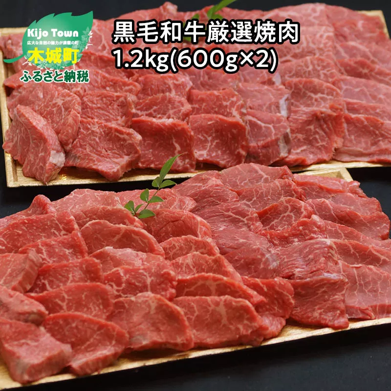 ＜木城ブランチ　有田白木八重牧場育ちの黒毛和牛厳選焼肉1.2ｋｇ（600ｇ×2）＞ K20_0012_1