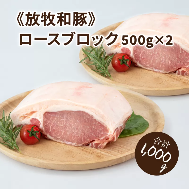 ≪放牧和豚≫　ロースブロック 500g×2 【合計1kg】 K26_0036_1