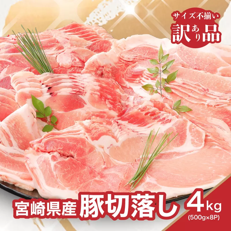 ★スピード発送!!７日〜10日営業日以内に発送★【訳あり】宮崎県産豚切落し4kg(500g×8パック) K16_0054_3