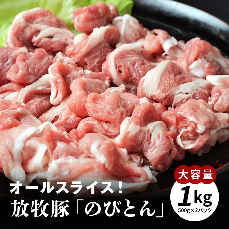 放牧豚「のびとん」スライスセット！500ｇ×2パック K25_0007_1