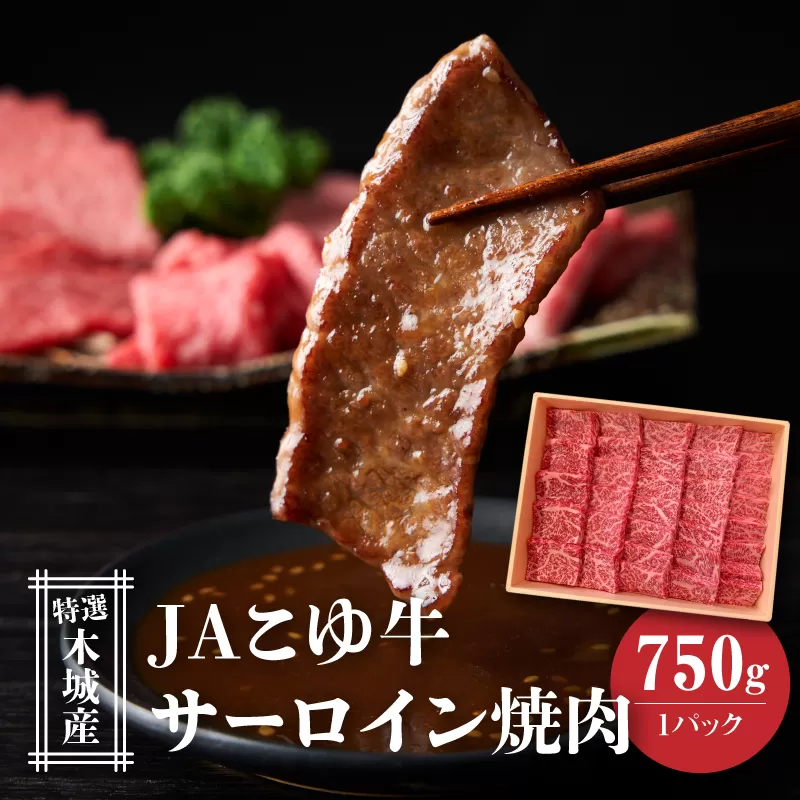 JAこゆ牛 特選木城産 サーロイン 750g 焼肉用 K56_0002