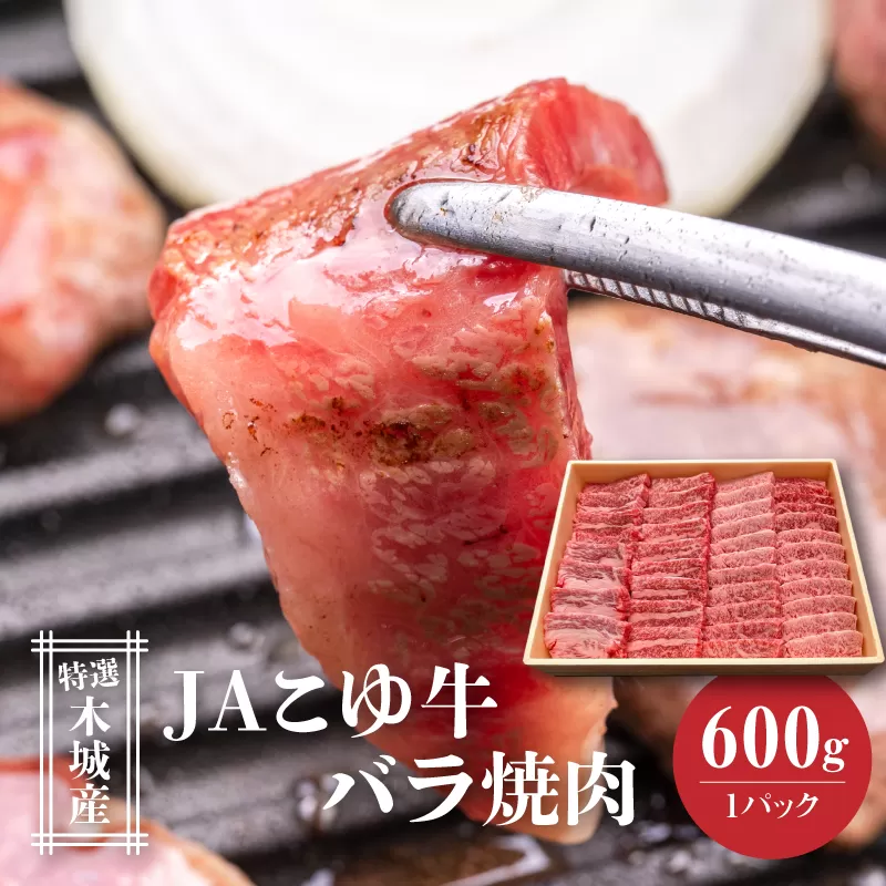 JAこゆ牛 特選木城産 バラ600g 焼肉用 K56_0009