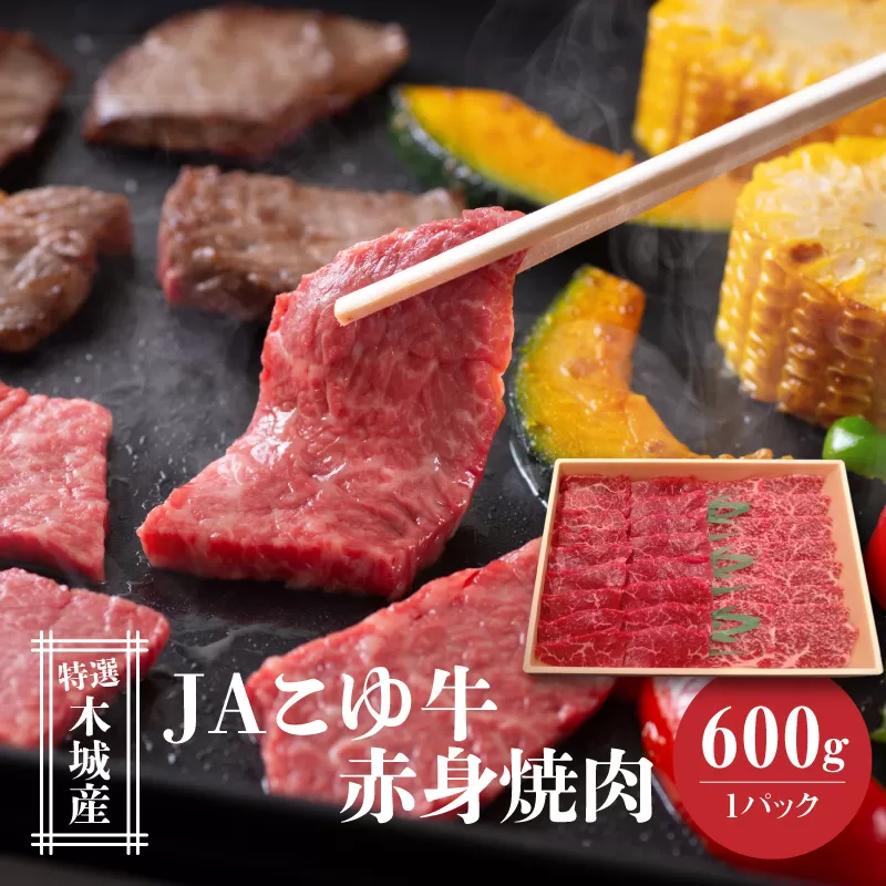 JAこゆ牛 特選木城産 赤身(もも・ウデ)600ｇ 焼肉用 K56_0007