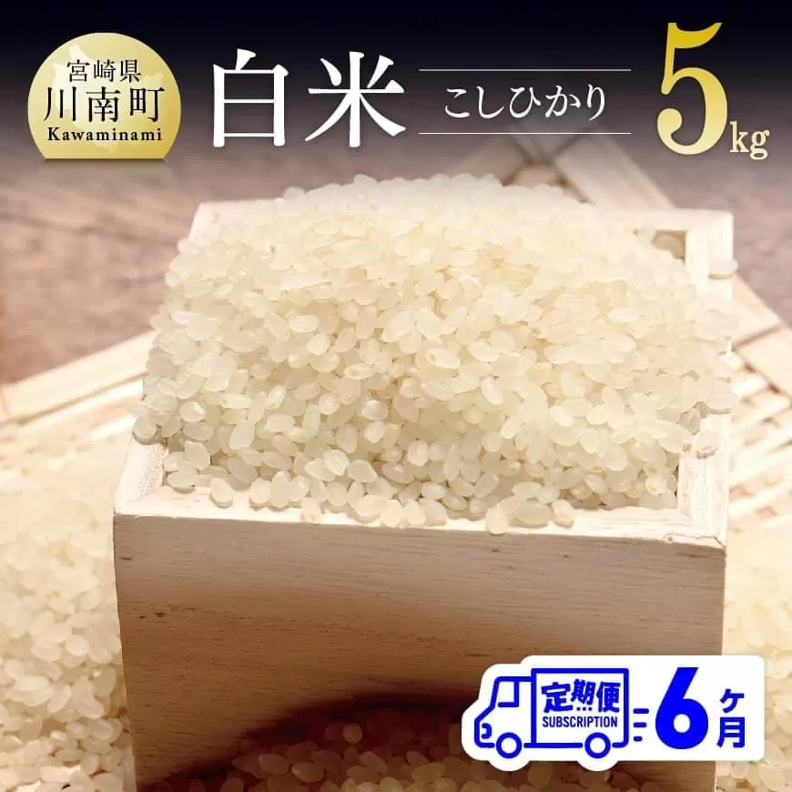 【6ヶ月定期便】令和6年産「こしひかり（有洗米）」5kg 穀物 コメ 白米 全6回 宮崎県産 九州産 お米 米 ライス