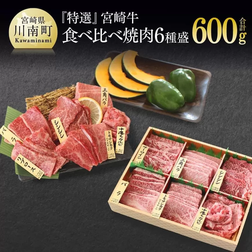 [特選]宮崎牛6種盛 焼肉食べ比べセット 肉 牛肉 国産 黒毛和牛 肉質等級4等級以上 4等級 5等級 焼肉