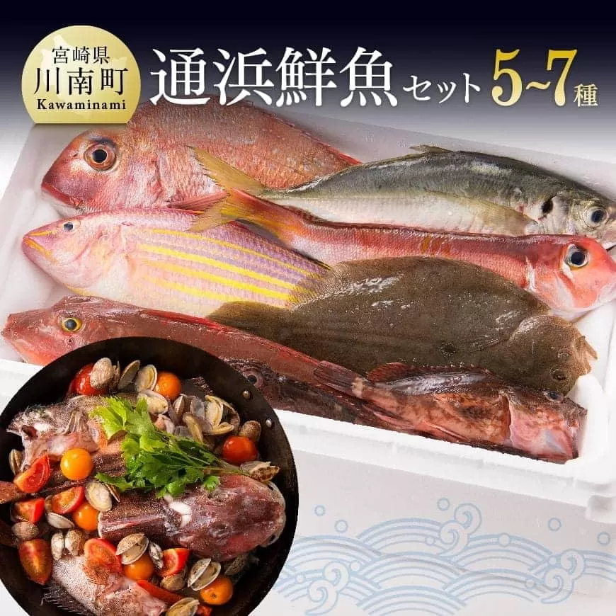 『日向灘海の幸』通浜鮮魚セット 鮮魚 魚介 セット 新鮮 漁協直送 刺身 海の幸 魚 魚介類