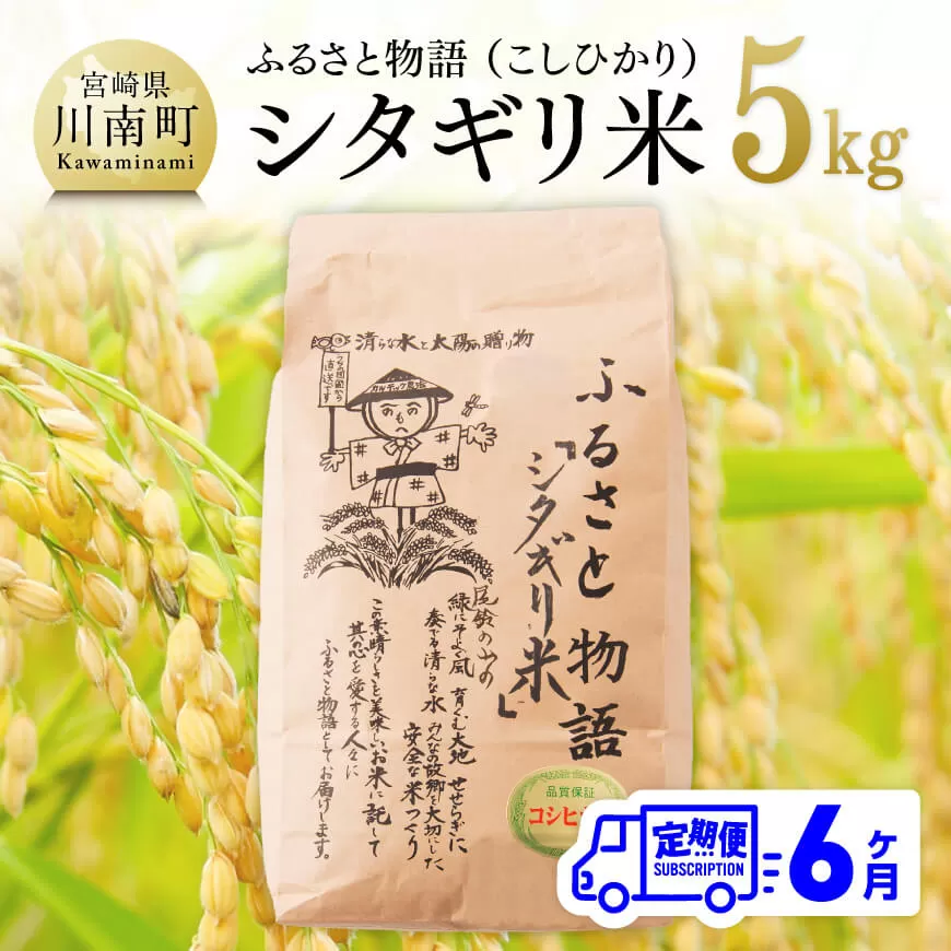 【6ヶ月定期便】※毎月20日頃発送※【令和6年産】宮崎県産こしひかり「シタギリ米」 5kg【 お米 新米 2024年産 定期便 全6回 】