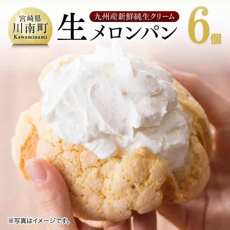 『押川春月堂本店』生メロンパン6個 スイーツ おやつ パン 大人気 生クリーム 川南町