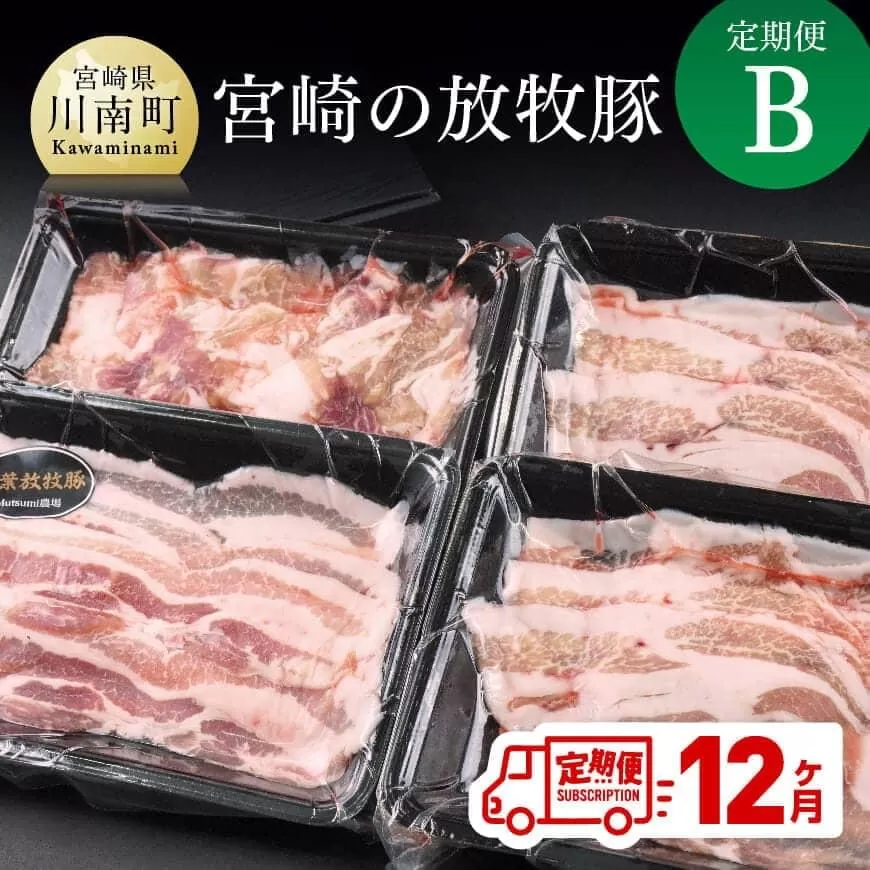 【定期便】宮崎の放牧豚 定期便Ｂ 12ヶ月定期便 肉 豚肉 国産 九州産 宮崎県産 豚しゃぶ 焼肉 とんかつ ステーキ 全12回