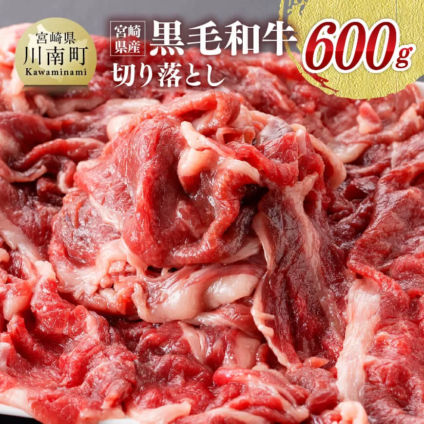 宮崎県産黒毛和牛 切り落とし ６００ｇ