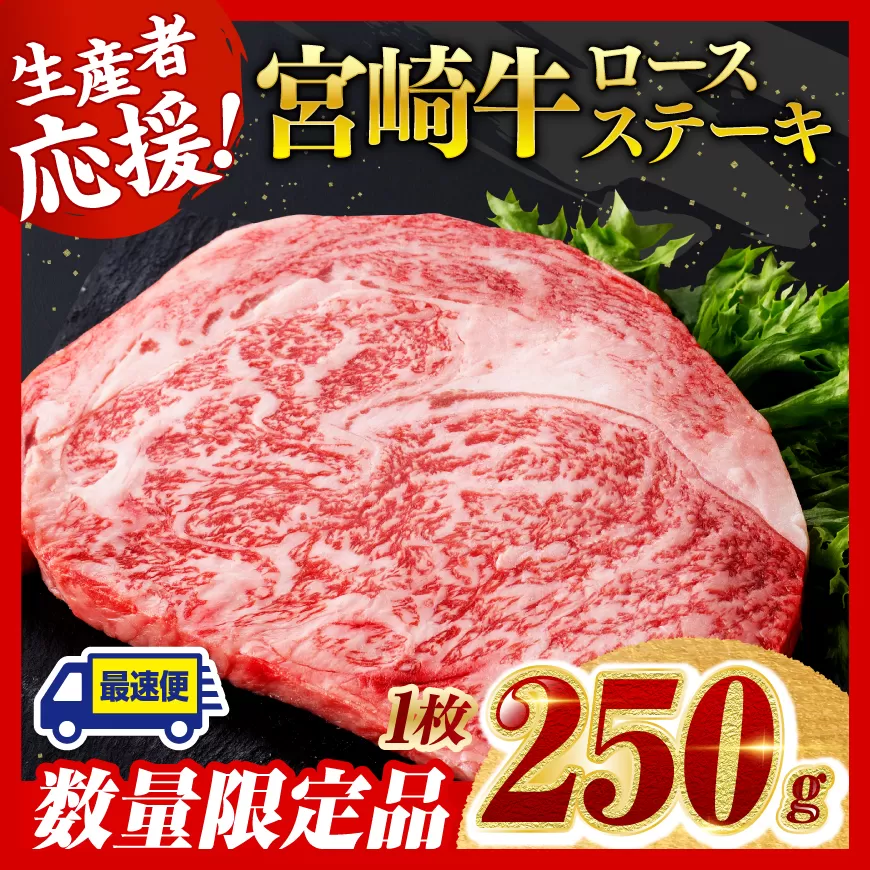 《数量限定》宮崎牛ロースステーキ1枚 (250g)【 肉 牛肉 宮崎県産 黒毛和牛ミヤチク】