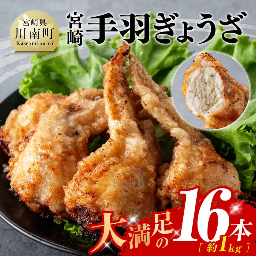 【令和6年12月発送】宮崎 手羽ぎょうざ 16本 1kg 鶏肉 鳥 手羽先 手羽 餃子 ぎょうざ ギョーザ おつまみ 惣菜 送料無料