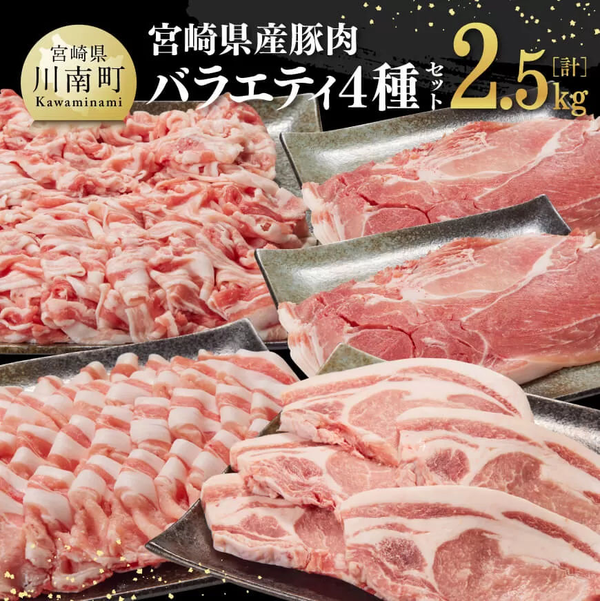 宮崎県産 豚肉 バラエティ 4種 セット 2.5kg 国産 豚 ブランド 豚肉