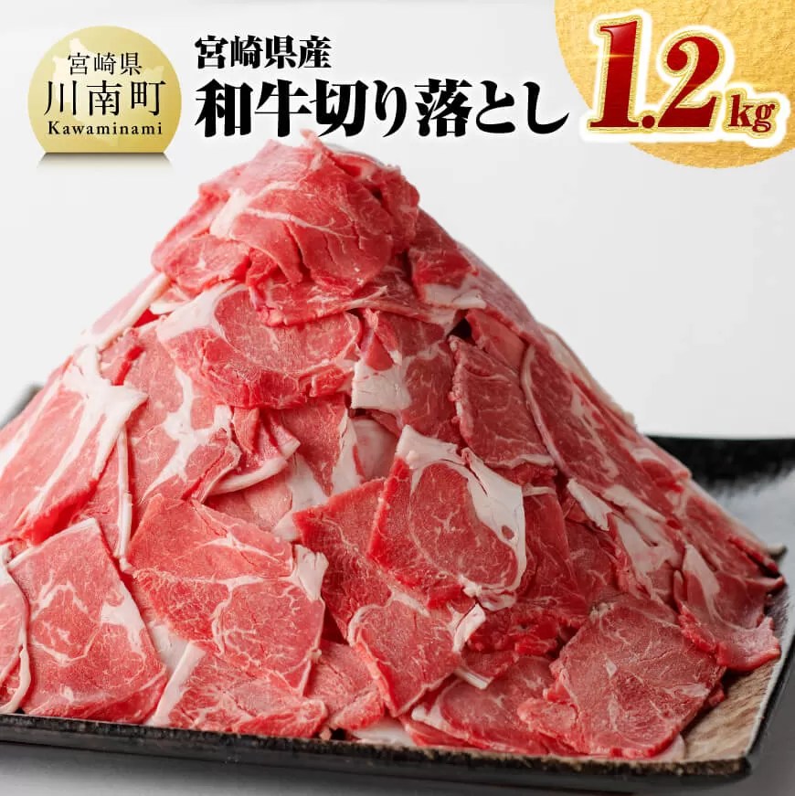 数量限定 宮崎県産和牛切り落とし1.2kg 国産牛 牛肉 肉 お肉 切落し