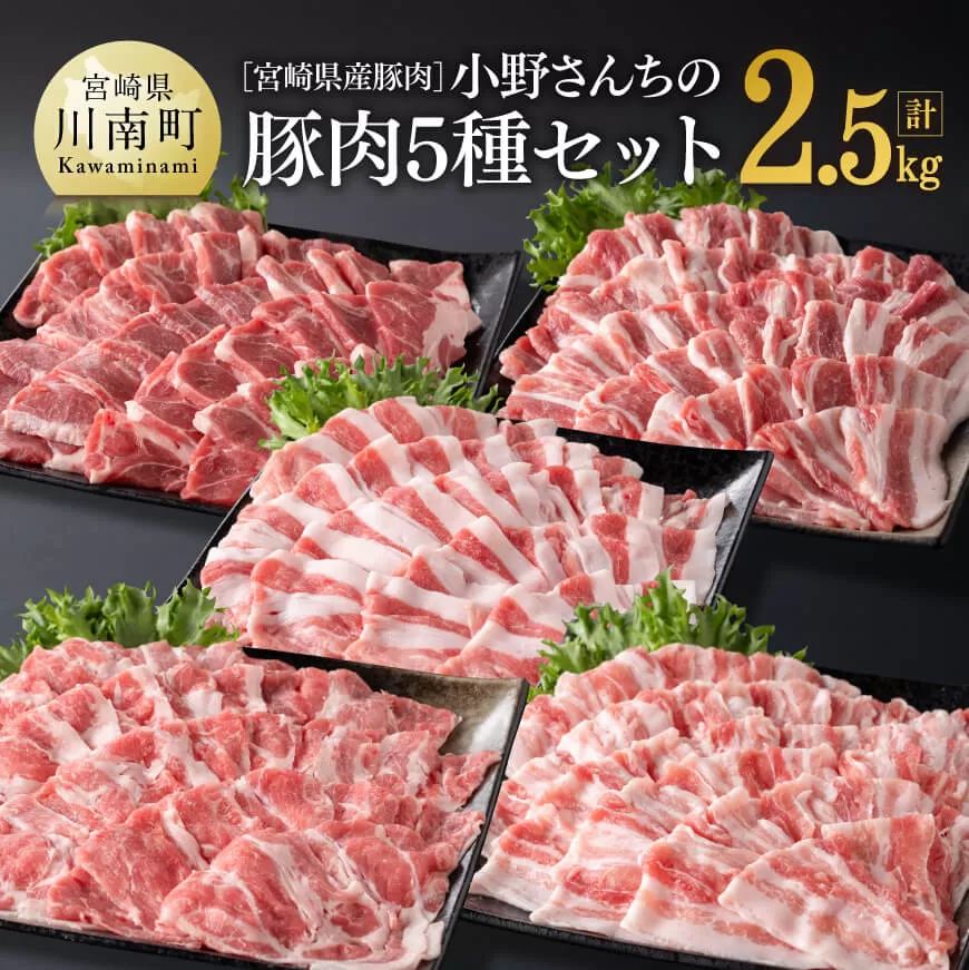 宮崎県産豚肉 小野さんちの"豚肉5種セット" 2.5kg 豚肉 豚 肉 宮崎県産 しゃぶしゃぶ 焼肉 セット 和洋中