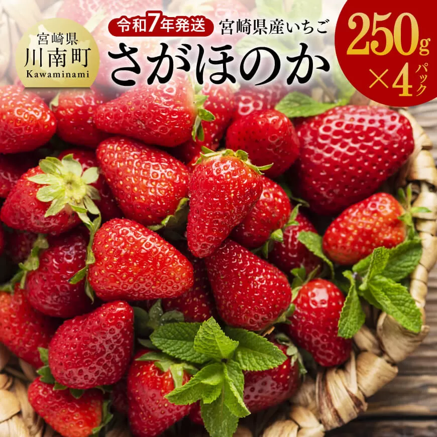 令和7年発送 宮崎県産いちご「さがほのか」250g×4パック 先行予約 期間限定 果物 イチゴ 苺 フルーツ