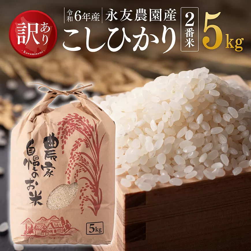 【訳あり】【令和6年産】永友農園産「こしひかり（2番米）」5kg 米 お米 白米 精米 国産 宮崎県産 コシヒカリ