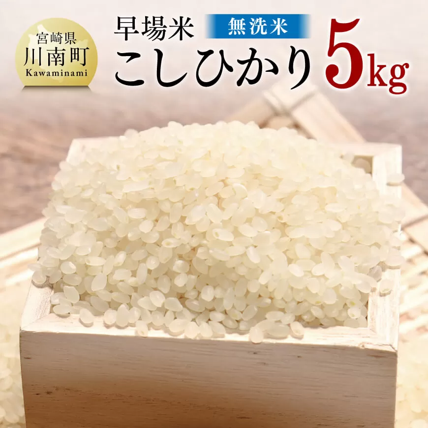 令和6年産「無洗米こしひかり」5kg お米 米 白米 こしひかり 無洗米 農家直送 産地直送 国産 九州産 宮崎県産 川南町産 送料無料