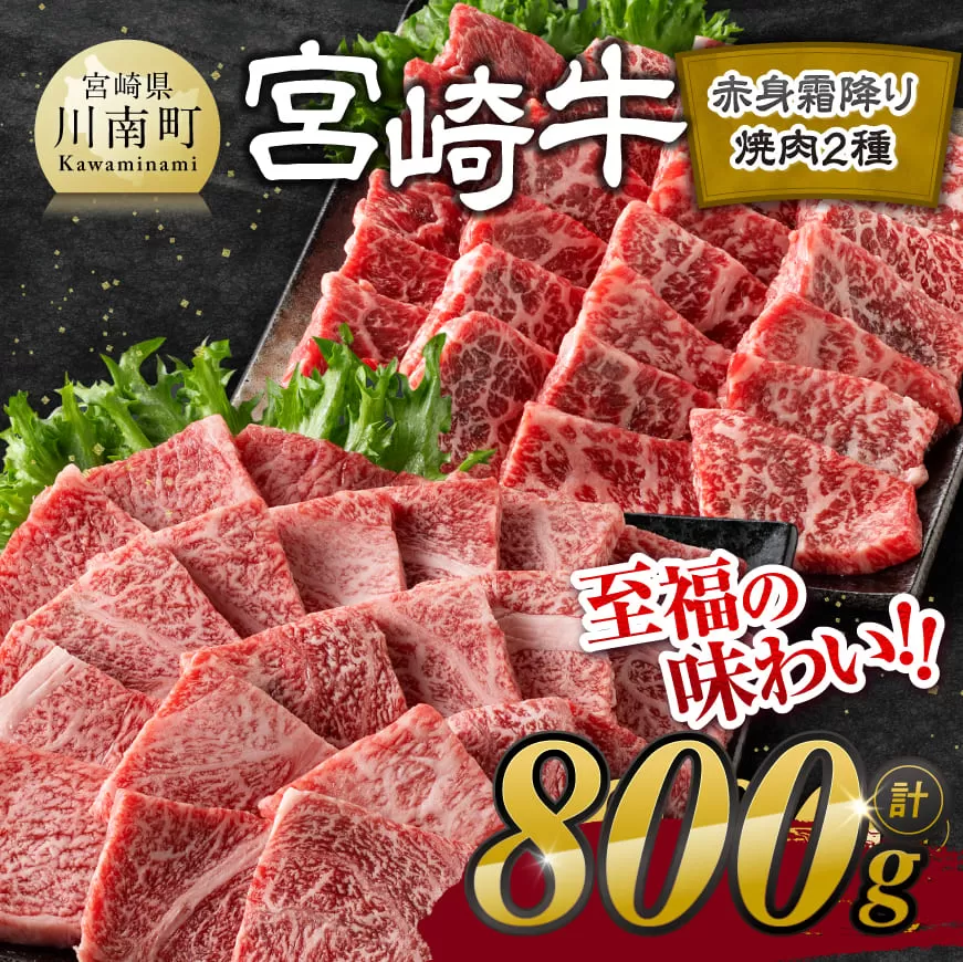 宮崎牛赤身霜降り焼肉2種 800g [ 肉 牛肉 肩ロース ウデ モモ 焼肉 黒毛和牛 国産 九州産 ]