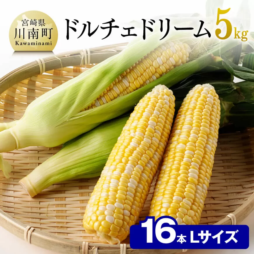 【令和7年発送】朝どれ！守部さんちのドルチェドリーム (L)5kg) 先行予約 数量限定 期間限定 とうもろこし スイートコーン トウモロコシ スィートコーン 令和7年発送 野菜