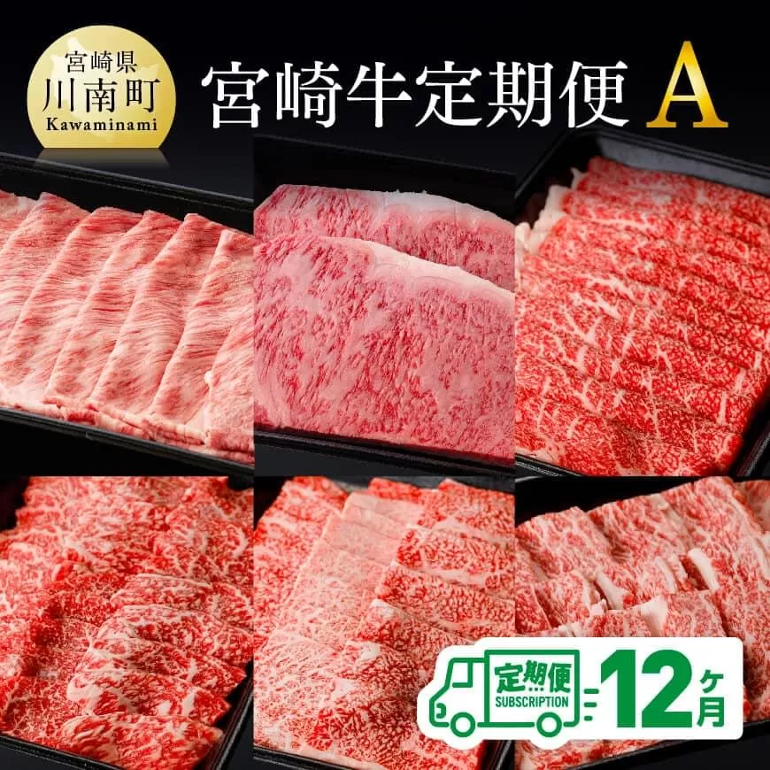 【定期便】宮崎牛12ヶ月定期便A 国産牛肉 九州産牛肉 肉 牛 宮崎県産 牛肉 黒毛和牛 ミヤチク牛肉 全12回 牛肉