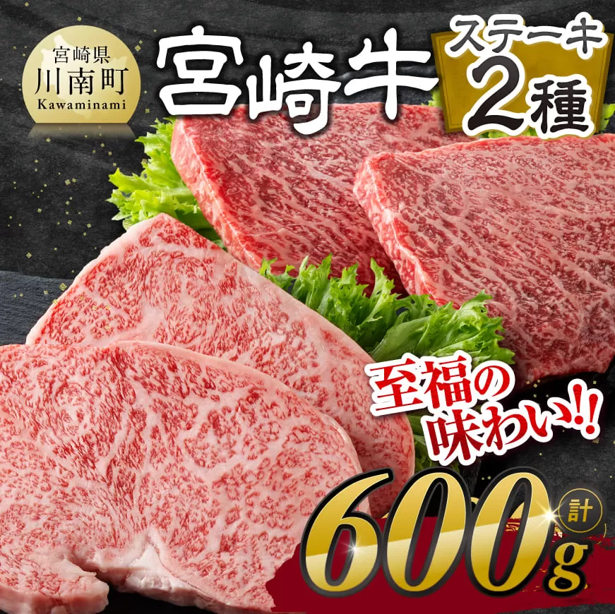 宮崎牛ステーキ 2種 600g 【 肉 牛肉 ロース モモ ステーキ 黒毛和牛 国産 九州産 】