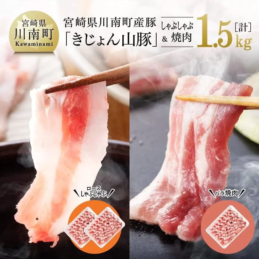 山豚ロースしゃぶ・バラ焼肉セット 豚肉 肉 国産豚 ブランド豚 宮崎県産豚肉