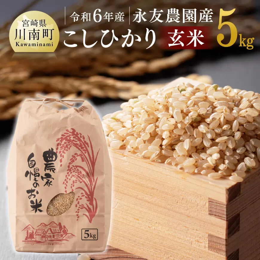 【令和6年産】永友農園産「こしひかり（玄米）」5kg 米 お米 玄米 国産 宮崎県産 コシヒカリ