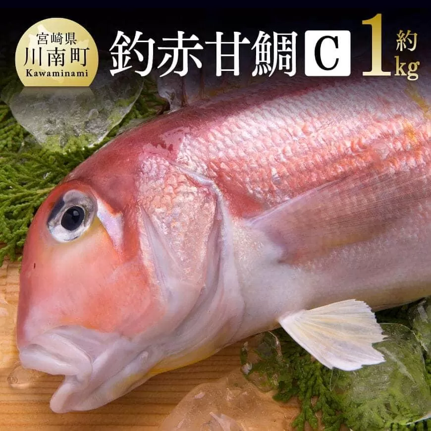 『釣赤甘鯛 C』 鮮魚 さかな 九州 宮崎 川南町 新鮮 魚介 海の幸 魚 G4407